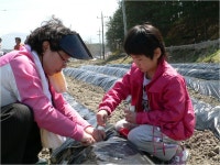 학교소식<학교소식<알림마당<전라북도임실교육지원청 전라북도임실교육지원청