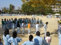 포토