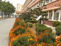학교앨범<열린마당<원광여자고등학교 원광여자고등학교