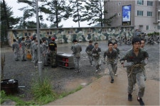 전일앨범<전일공간<전일고등학교 전일고등학교
