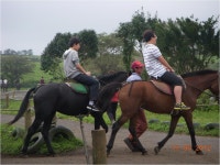 전일앨범<전일공간<전일고등학교 전일고등학교