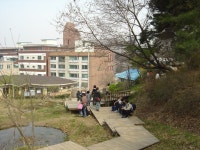 동영상<학교앨범<학교소식<전주효정중학교 전주효정중학교