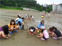 격동교육활동<격동앨범<학교소식<격동초등학교 격동초등학교