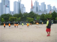 토요방과후학교 사진<방과후 학교 프로그램 활동모습<선택형 교육 프로그램(방과후학교)<늘봄학교<범서초등학교 범서초등학교