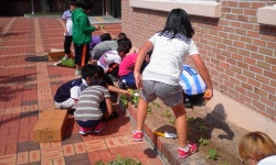 활동사진<경제교육연구학교<성동초등학교 성동초등학교