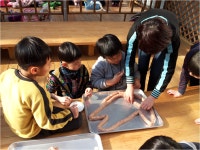 돌봄교실<방과후학교<삼신초등학교 삼신초등학교