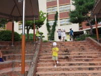 돌봄교실<방과후학교<호계초등학교 호계초등학교