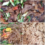 당일급식사진<급식소식<학교소식<서생초등학교 서생초등학교