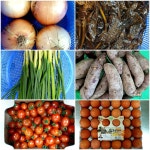 급식게시판<급식소식<알림마당<남산초등학교 남산초등학교