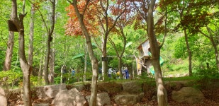 6학년<동아리 선택 활동<연구학교/중점교육<녹수초등학교 녹수초등학교