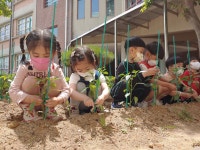 행사앨범<행사안내<병설유치원<강남초등학교 강남초등학교