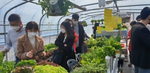 사진첩<연구학교<신정초등학교 신정초등학교