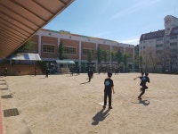 격동교육활동<격동앨범<학교소식<격동초등학교 격동초등학교
