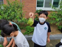 사진첩<연구학교<신정초등학교 신정초등학교
