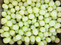 오늘의메뉴<급식실<학교소식<세인고등학교 세인고등학교