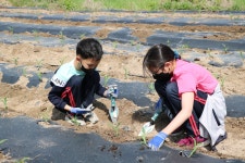 삼동앨범<학교소식<삼동초등학교 삼동초등학교
