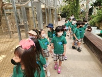 행사 앨범<행사 안내<강동유치원 강동유치원