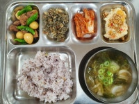 급식사진
