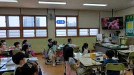 사진앨범<학교앨범<알림마당<남산초등학교 남산초등학교