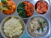 오늘의 메뉴<영양상담실<알림마당<옥서초등학교 옥서초등학교