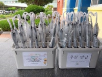 학생자치회<우리들마당<삼신초등학교 삼신초등학교