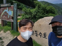 해오름 걷기 챌린지 인증<연구학교<강동초등학교 강동초등학교