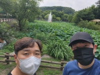 해오름 걷기 챌린지 인증<연구학교<강동초등학교 강동초등학교