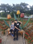 해오름 걷기 챌린지 인증<연구학교<강동초등학교 강동초등학교