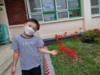 유치원 잎새반