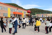 삼동앨범<학교소식<삼동초등학교 삼동초등학교