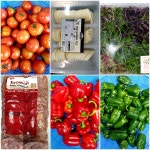 급식게시판<급식소식<알림마당<남산초등학교 남산초등학교