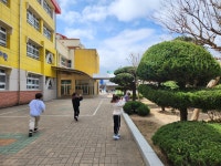 유치원앨범<병설유치원<울산양정초등학교 울산양정초등학교