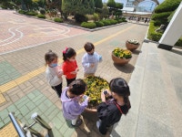 유치원앨범<병설유치원<울산양정초등학교 울산양정초등학교