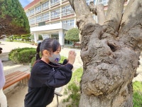 유치원앨범<병설유치원<울산양정초등학교 울산양정초등학교