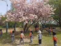 유치원 앨범<병설유치원<서부초등학교 서부초등학교