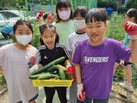 2023 행사앨범<행사앨범<학교소식<신정초등학교 신정초등학교