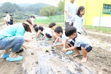 삼동앨범<학교소식<삼동초등학교 삼동초등학교