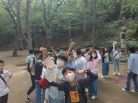 교육활동 갤러리<연구학교<울산초등학교 울산초등학교