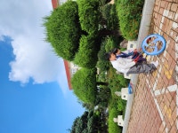 유치원앨범<병설유치원<울산양정초등학교 울산양정초등학교
