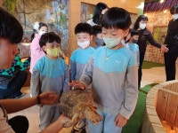 유치원 앨범<병설유치원<명덕초등학교 명덕초등학교