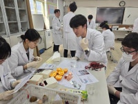 학교행사앨범<학교행사앨범<알림마당<울산중앙고등학교 울산중앙고등학교