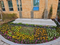 지속가능 갤러리<갤러리<연구유치원<언양누리유치원 언양누리유치원