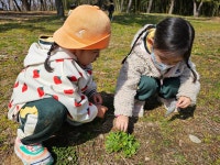 Round-eco : 자연 누리기<Re:Earth365<연구유치원<언양누리유치원 언양누리유치원