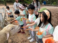 교육활동앨범(유치원)<병설유치원<상진초등학교 상진초등학교