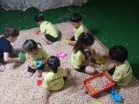 유치원행사앨범<삼동유치원<삼동초등학교 삼동초등학교