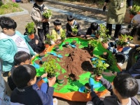 약사초등학교