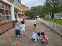 활동사진<유치원<이화초등학교 이화초등학교