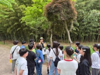 삼호초등학교