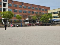 선택형 교육 갤러리<선택형 교육 프로그램<늘봄학교<백양초등학교 백양초등학교