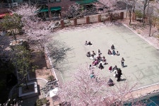 격동교육활동<격동앨범<학교소식<격동초등학교 격동초등학교